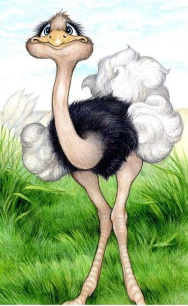 Мультяшные Страусы