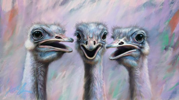 Масло страуса