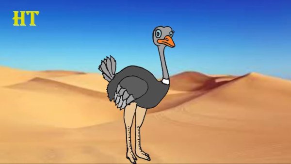 Страус мультик
