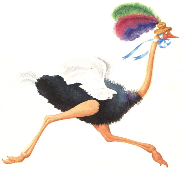 Страус иллюстрация