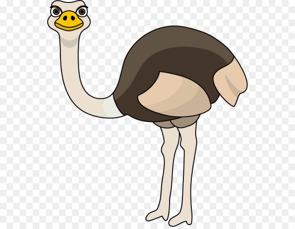 Эму мультяшный
