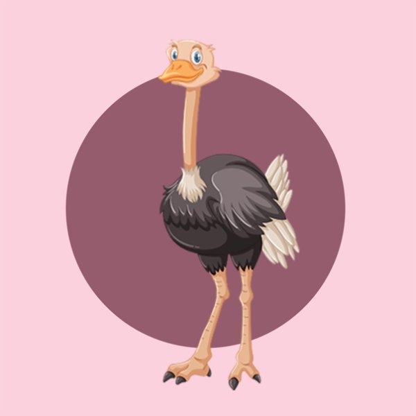 Страус может называться птицей
