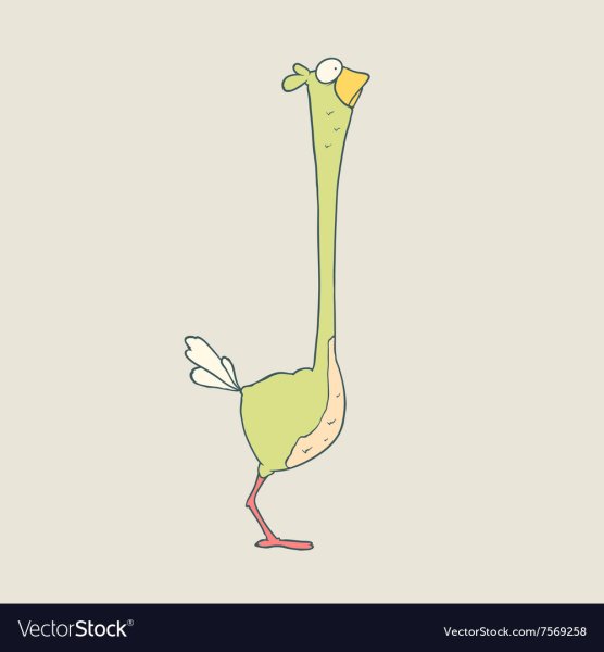 Милый страус рисунок