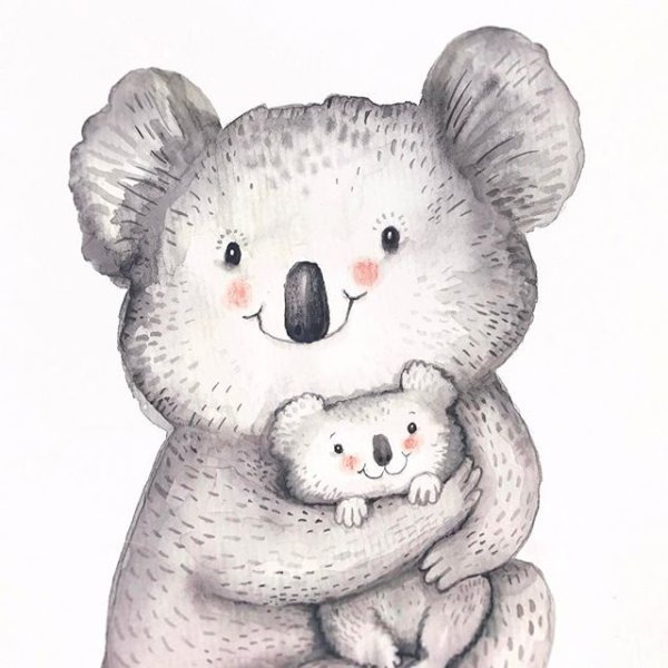 Милые иллюстрации животных