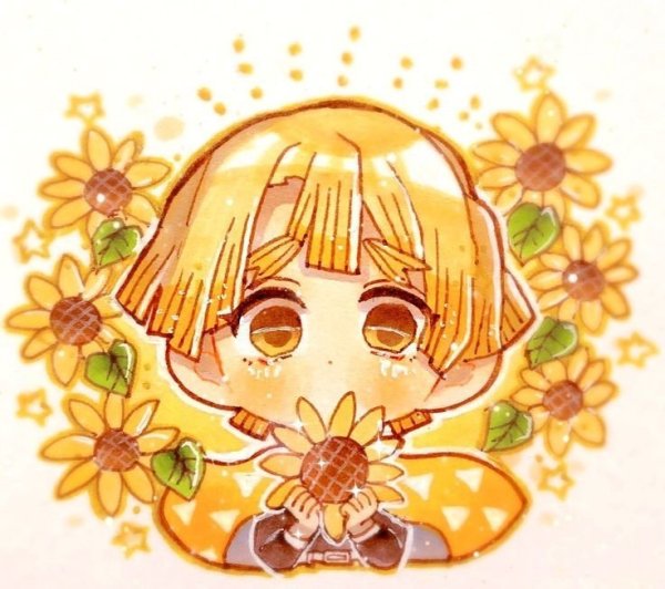 Зеницу Чиби