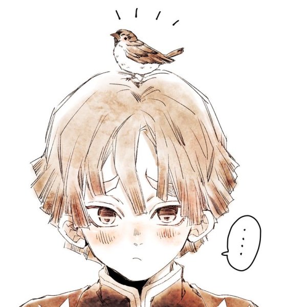 Зеницу Чиби