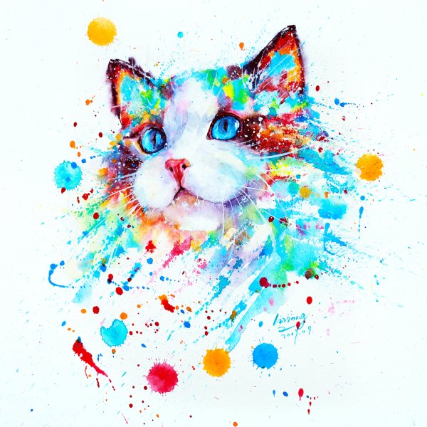 Разноцветный кот