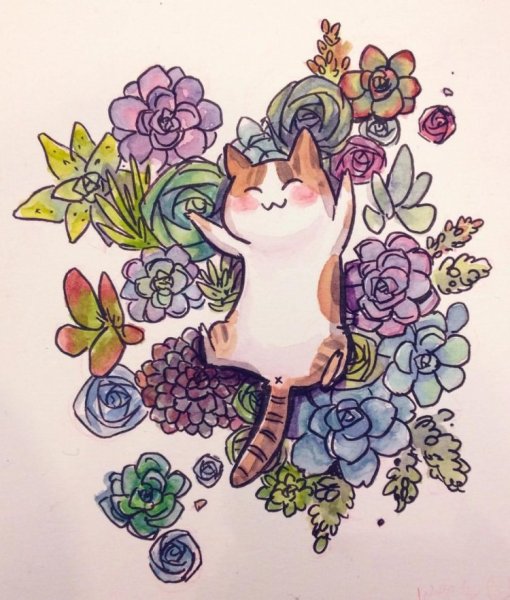 Camilla d'Errico аниме