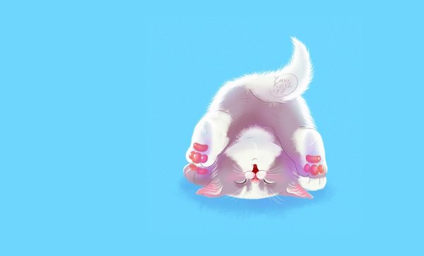 Кошачья лапка Минимализм