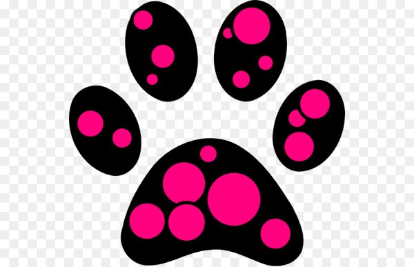 Рисунок милой лапки