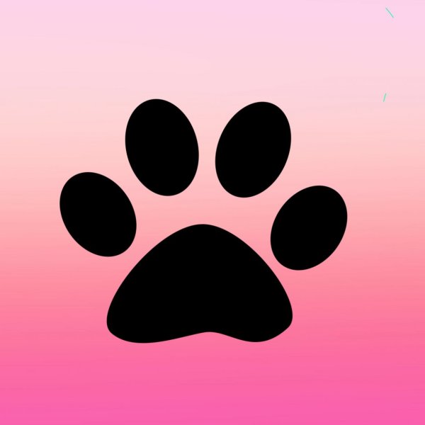 Кошачьи и собачьи следы