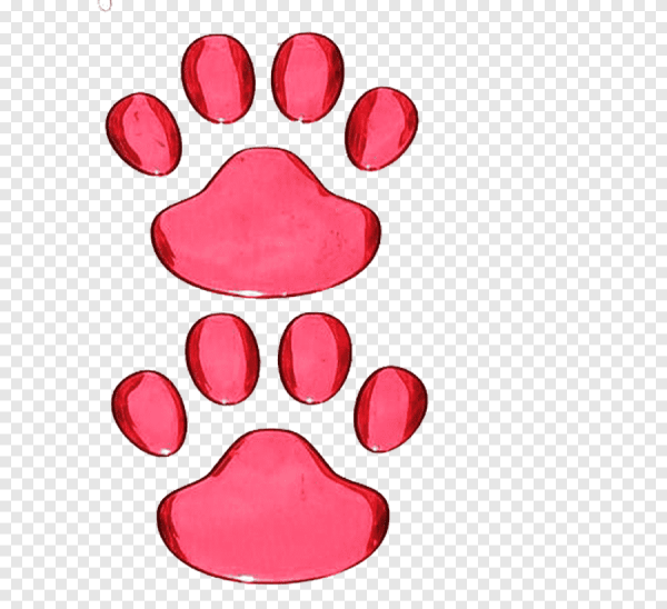 Лапка кота след