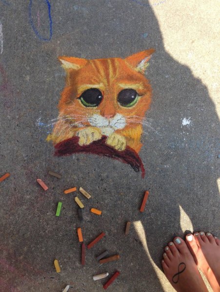 Кот мелками на асфальте