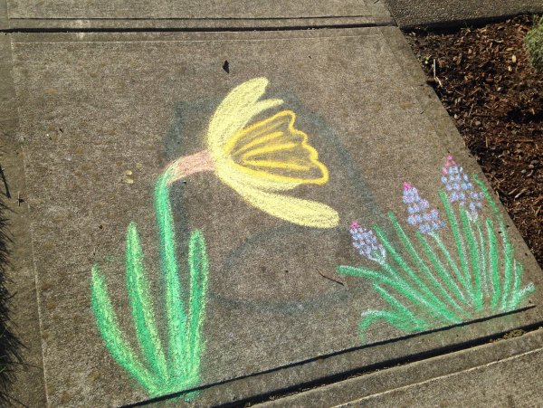 Цветы мелками на асфальте