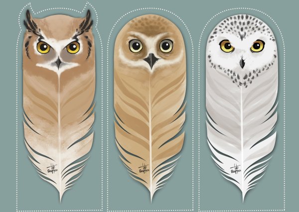 Милые животные закладки