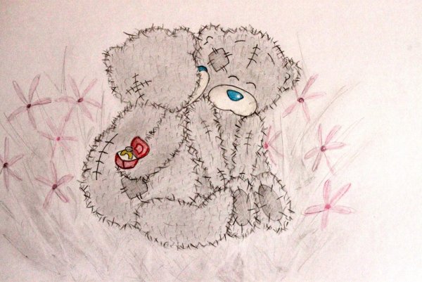 Мишка рисунок карандашом