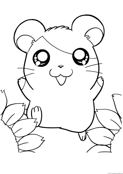 Раскраска хомячок