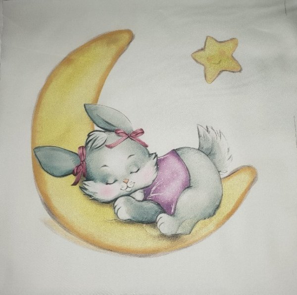 Зайчик на Луне