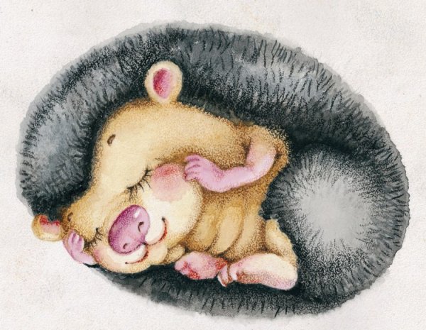 Зверята спят