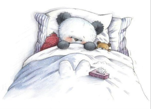 Медведь под одеялом
