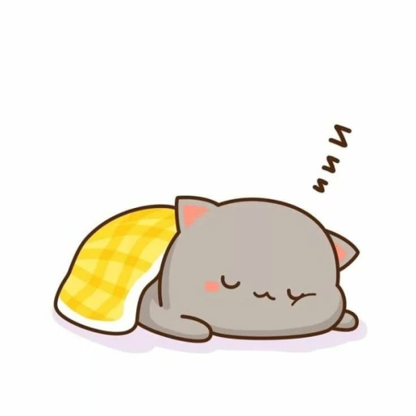 Рисунки для срисовки котики