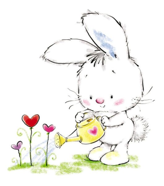 Мимишные зайки