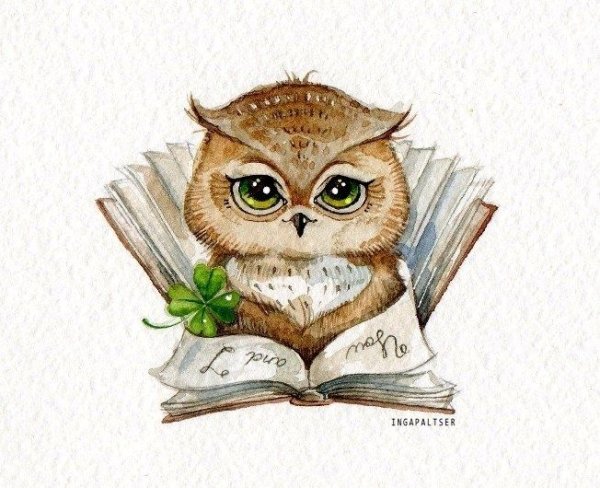 Сова с книгой акварелью
