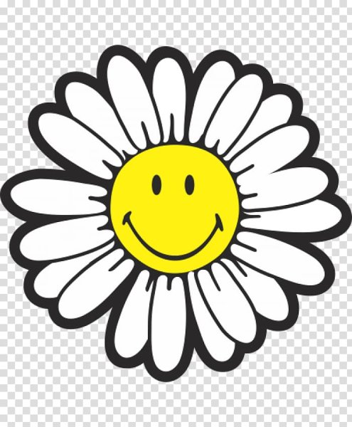 Ромашка улыбается