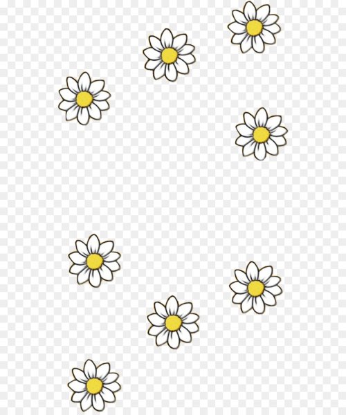 Маленькие ромашки на прозрачном фоне