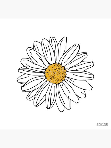 Ромашка нарисованная