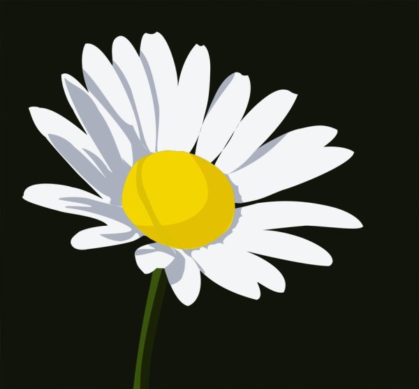 Ромашки мультяшные