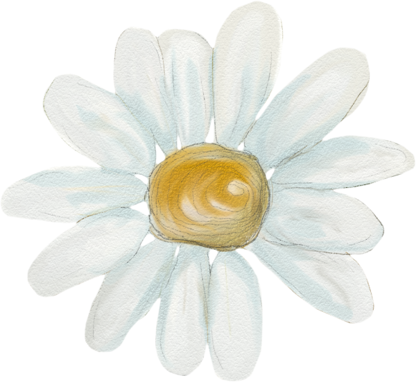 Ромашка рисунок