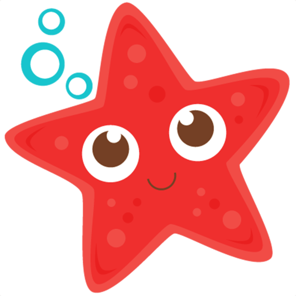 Морская Звездочка для детей