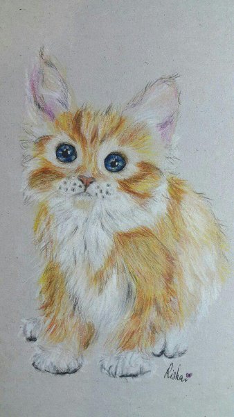 Пастель для рисования карандаши