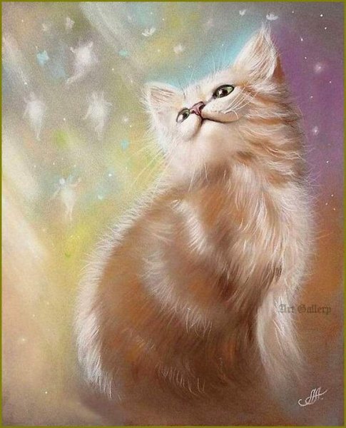 Аннет Логинова кошки