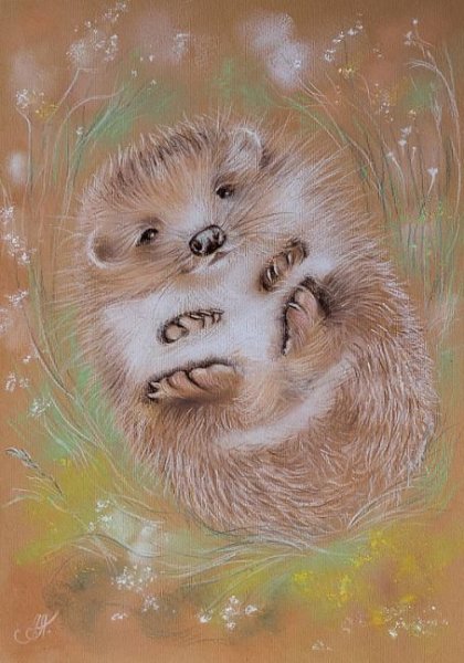 Аннет Логинова Ёжики