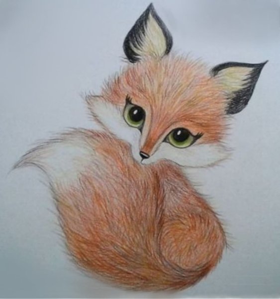 Карандаши цветные "животные"