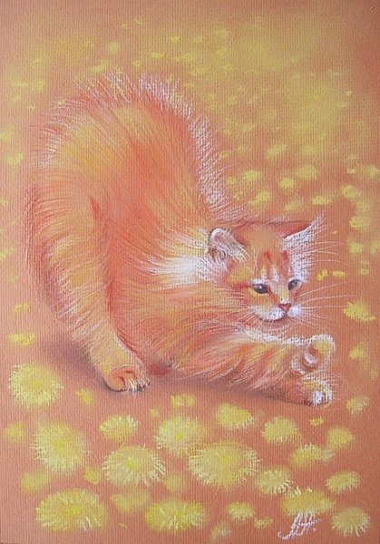 Аннет Логинова кошки