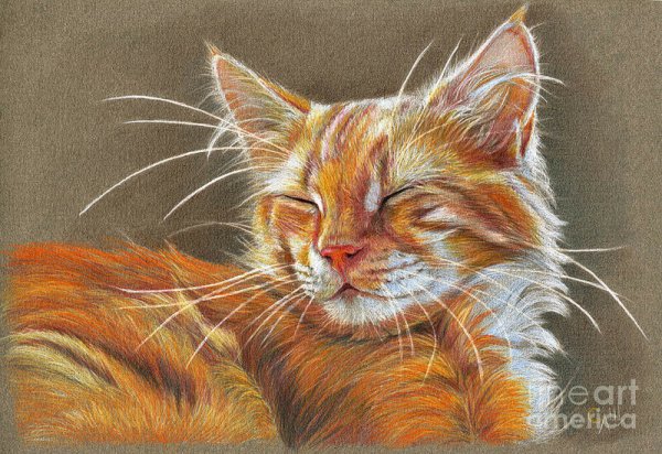 Кошка пастелью