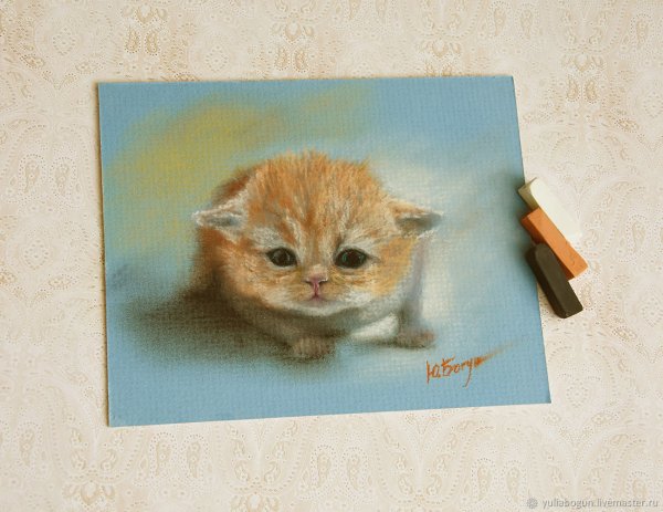 Котик пастелью