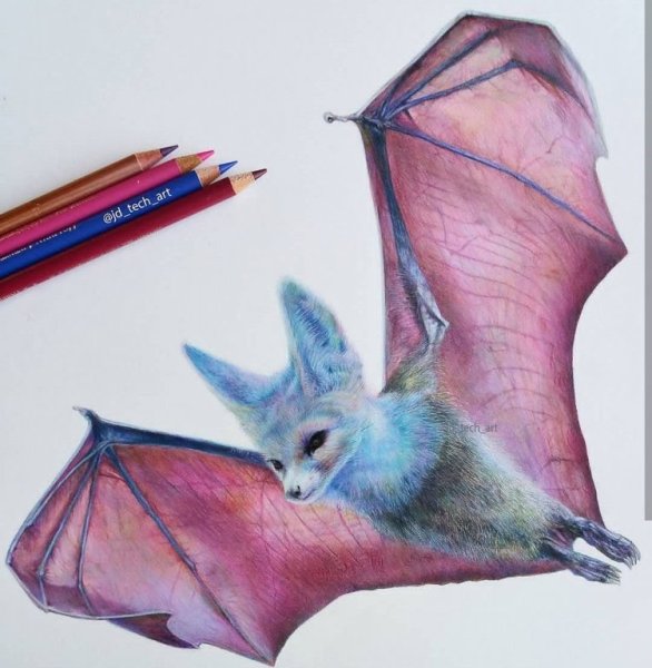 Милые котята карандашом