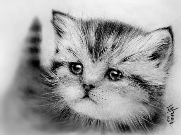 Рисование мышонок