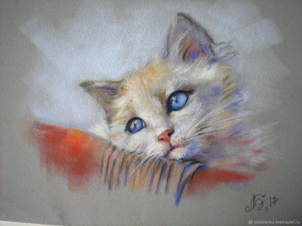 Рисунки пастелью