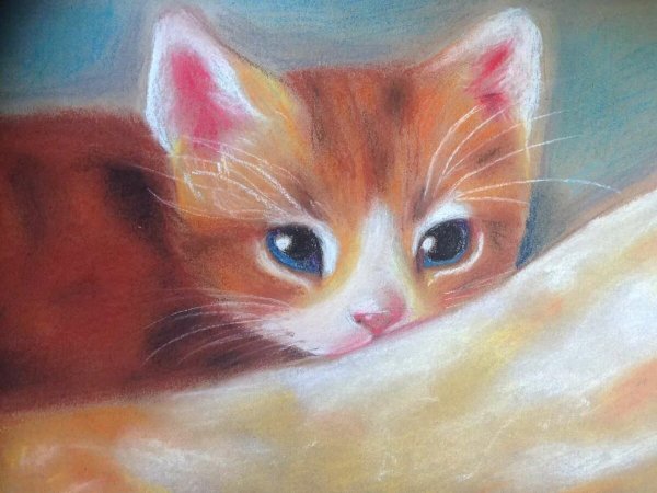 Собака пастелью сухой