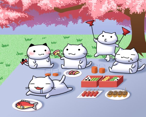 Суши в виде котиков