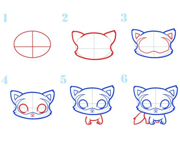 Поэтапное рисование енота
