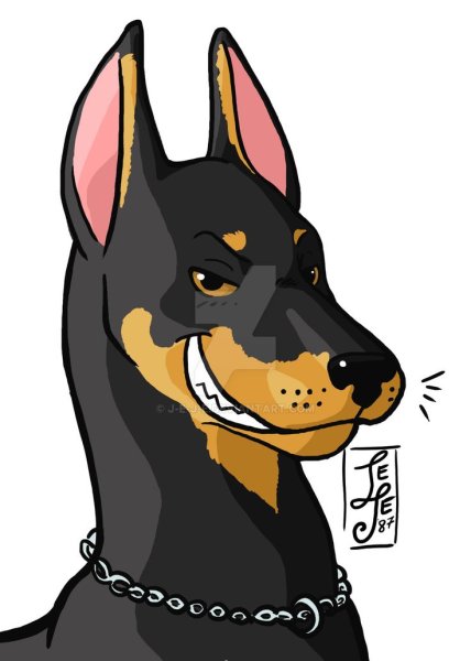 Doberman Studio patron