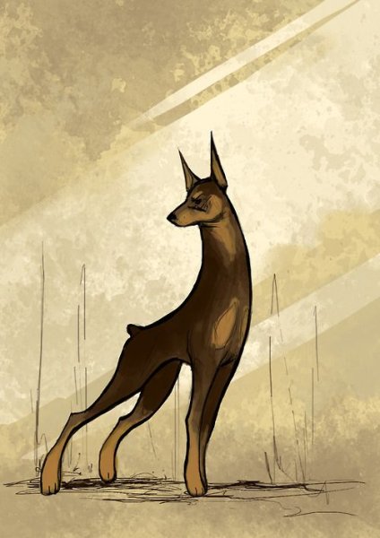 Мультяшные Доберманы милые