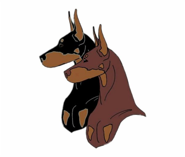 Мультяшные Доберманы