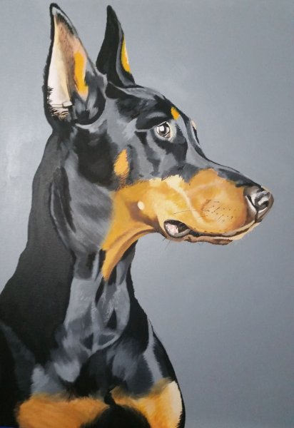 Доберман пинчер референсы